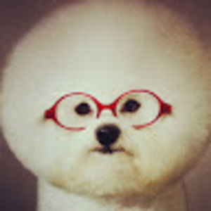 Meet your Posher, Abigail